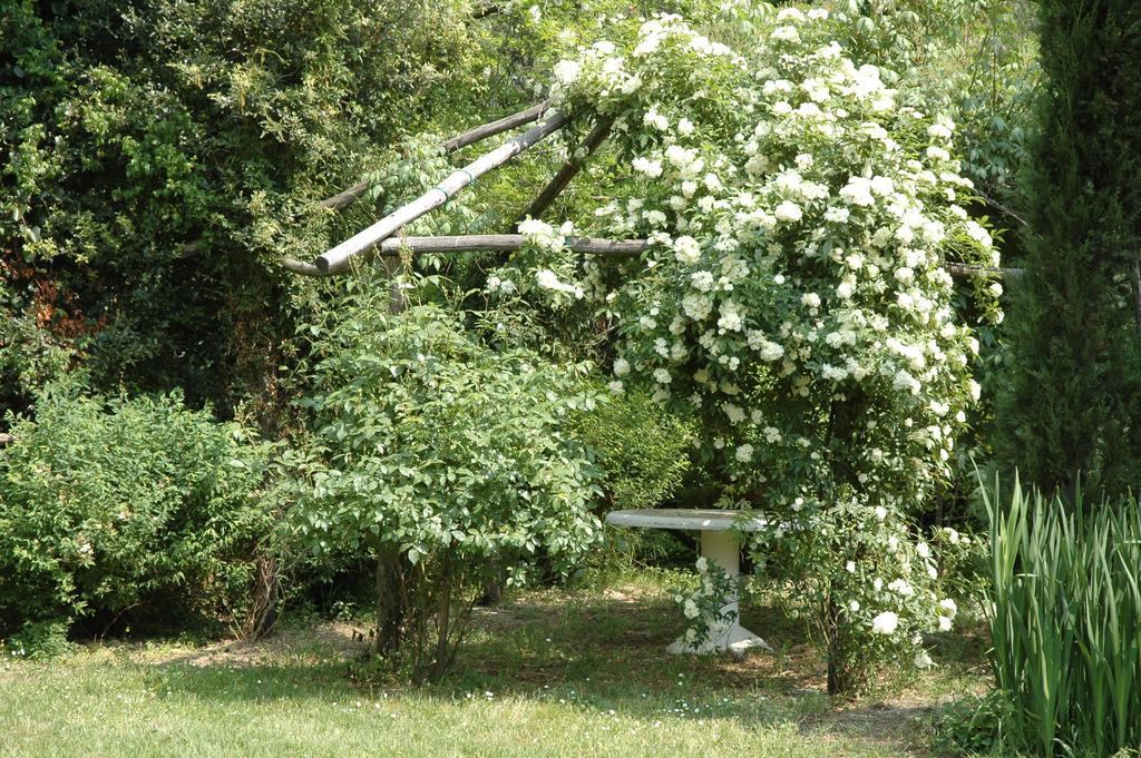 Appartamento Con Patio Privato E Giardino Tra Pisa E Firenze 帕拉亚 外观 照片