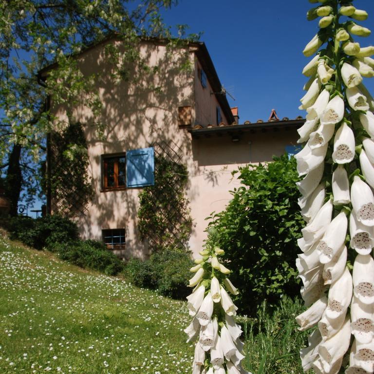 Appartamento Con Patio Privato E Giardino Tra Pisa E Firenze 帕拉亚 外观 照片