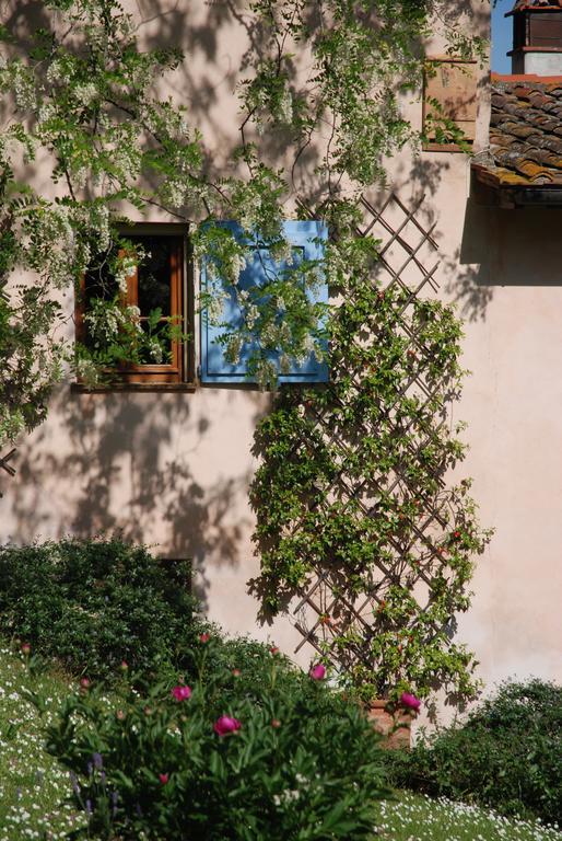 Appartamento Con Patio Privato E Giardino Tra Pisa E Firenze 帕拉亚 外观 照片