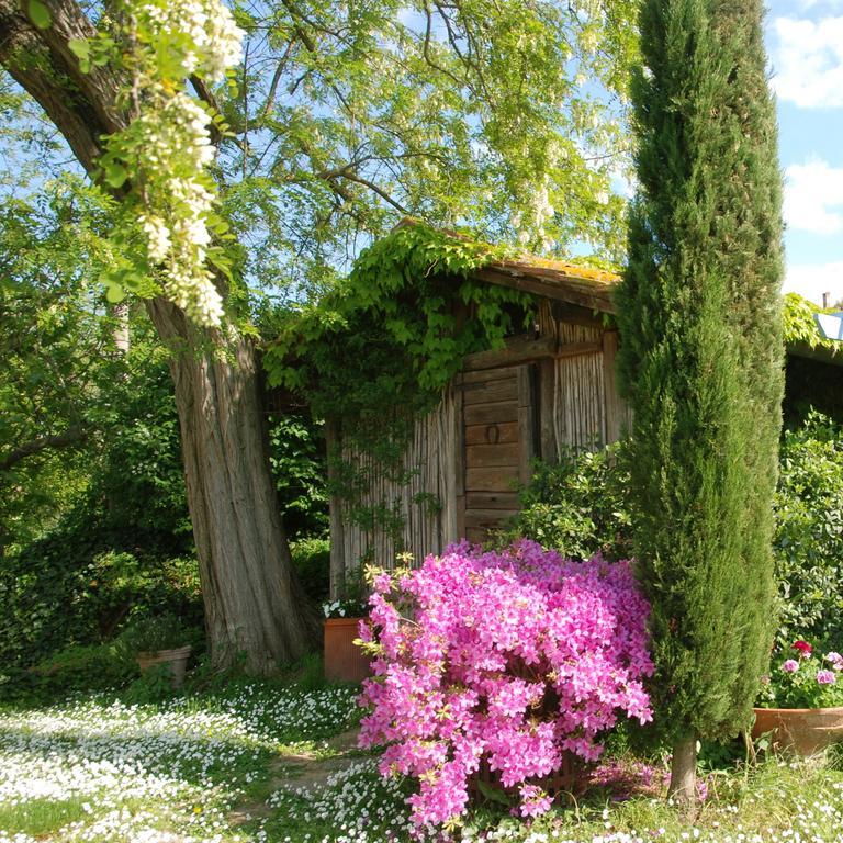 Appartamento Con Patio Privato E Giardino Tra Pisa E Firenze 帕拉亚 外观 照片