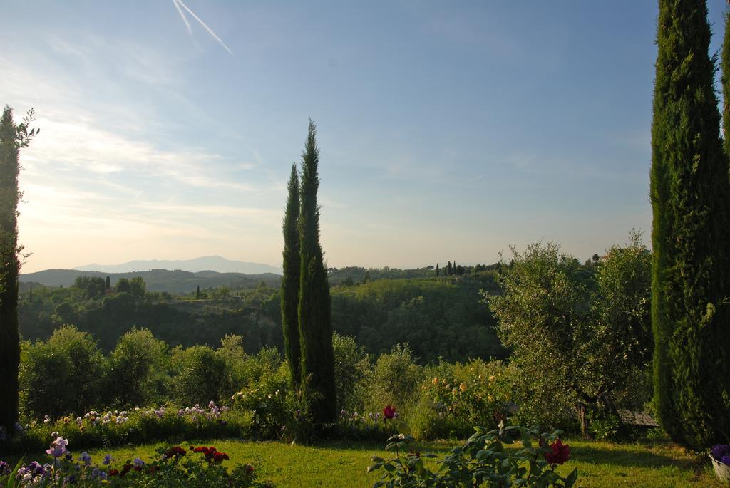 Appartamento Con Patio Privato E Giardino Tra Pisa E Firenze 帕拉亚 外观 照片