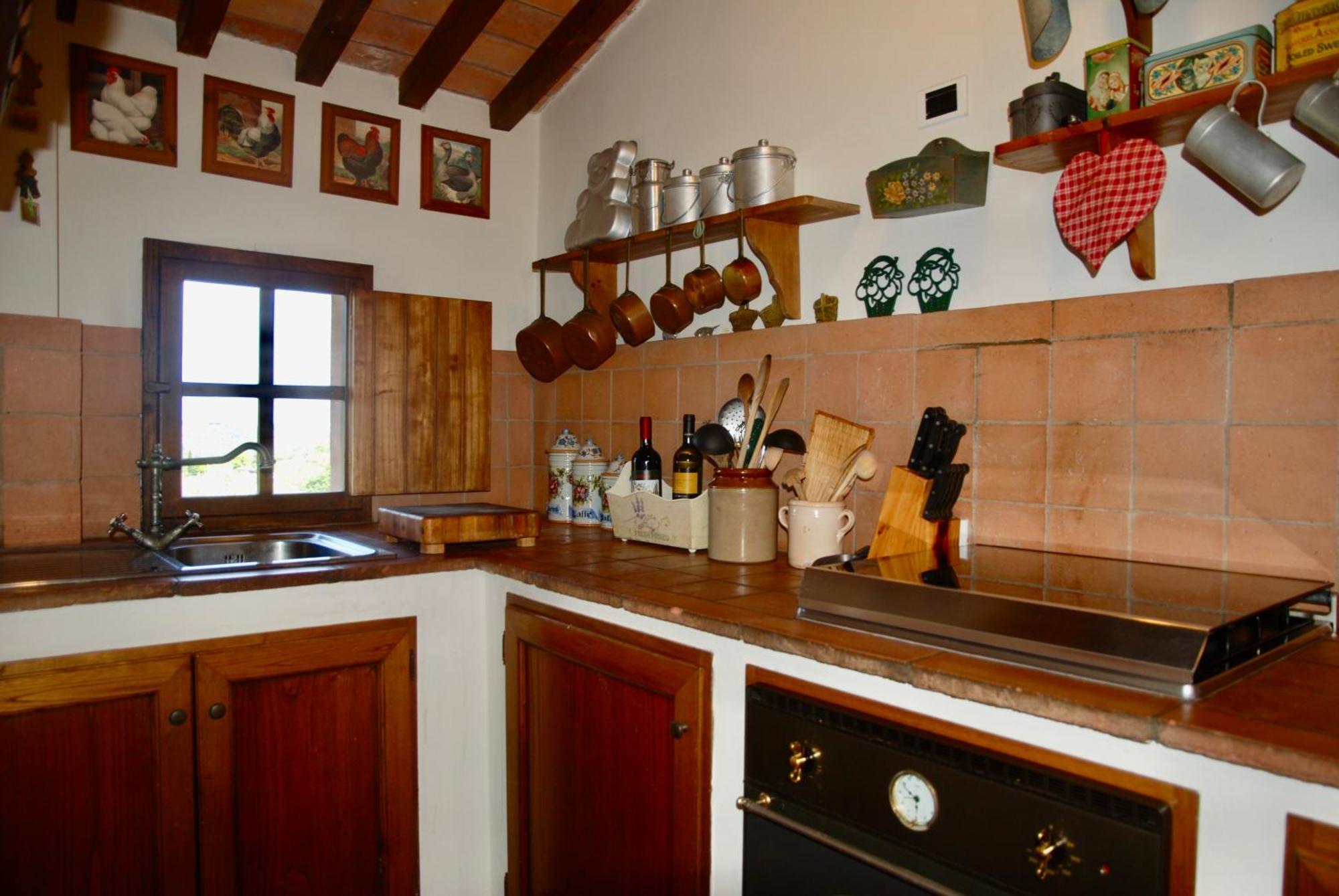 Appartamento Con Patio Privato E Giardino Tra Pisa E Firenze 帕拉亚 外观 照片