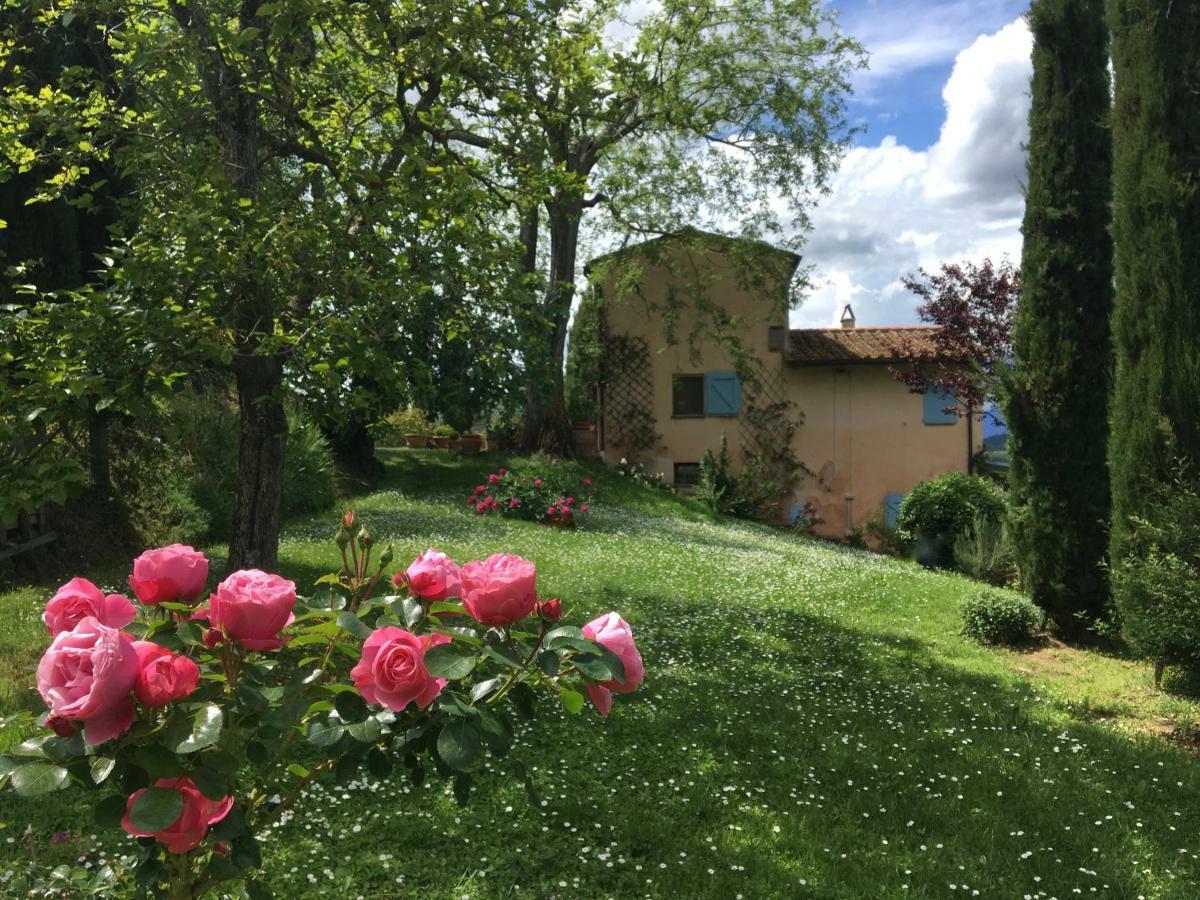 Appartamento Con Patio Privato E Giardino Tra Pisa E Firenze 帕拉亚 外观 照片